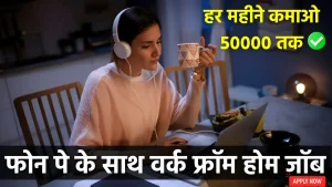 Phonepe Work From Home Job