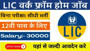 LIC Work From Home Job