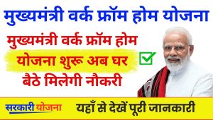 Mukhyamantri Work From Home Yojana