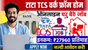Tata TCS Work From Home Job Online 2024