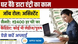 Data Entry Assistant Work From Home Job