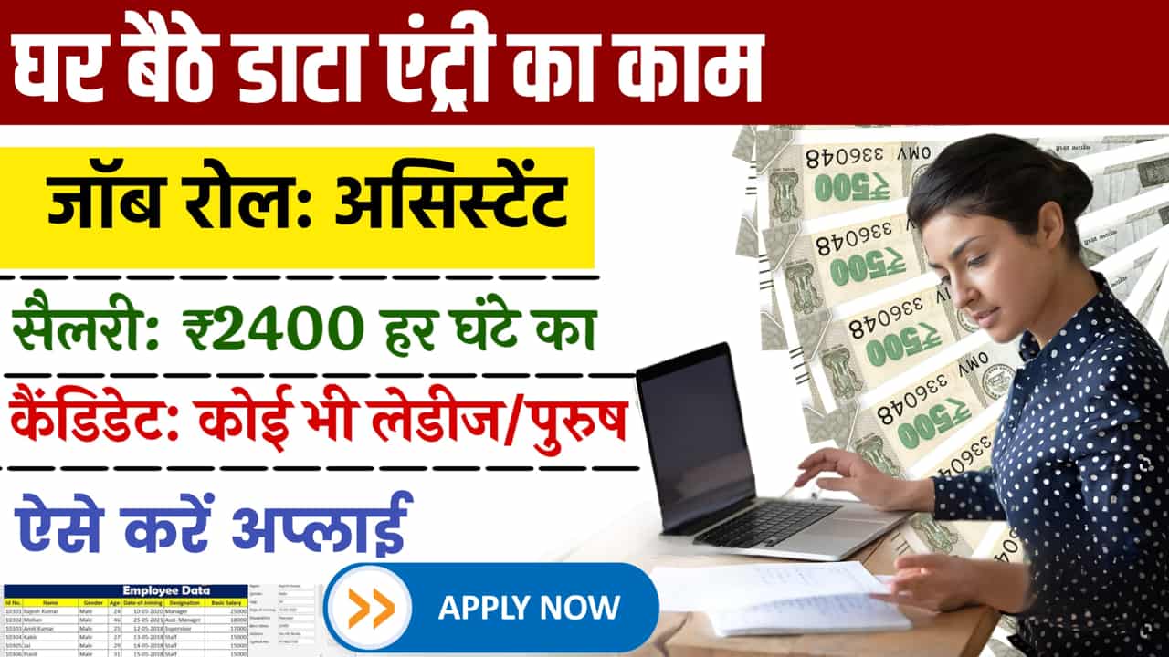 Data Entry Assistant Work From Home Job