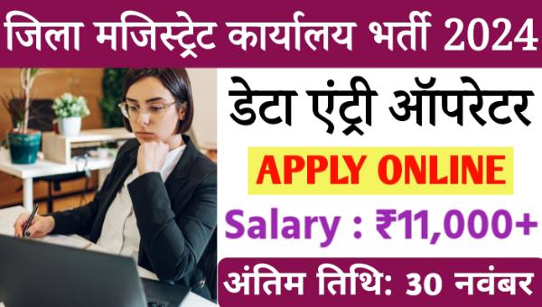 District Magistrate Data Entry Operator Vacancy 2024