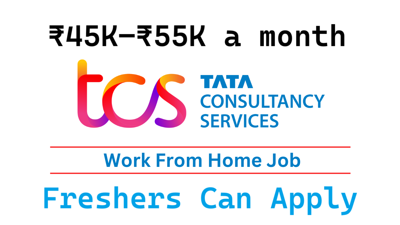 TCS Work From Home Job